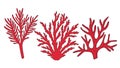 Red Coral. Underwater hand drawn sea, ocean plants
